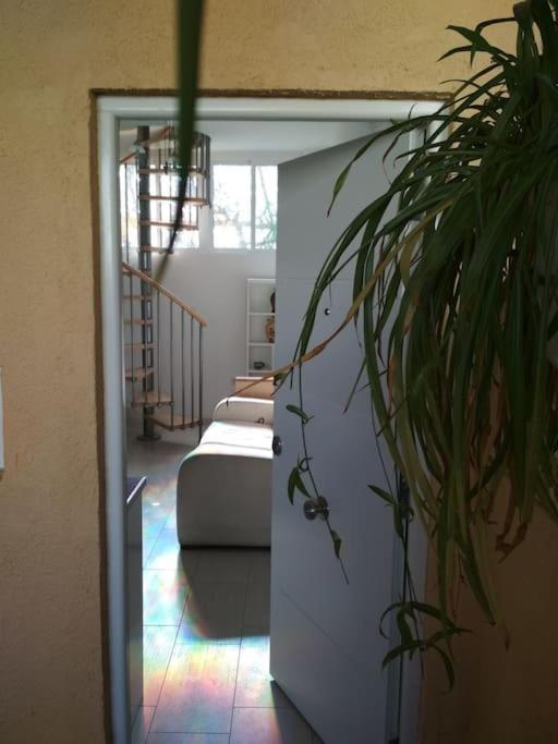 Loft Con Encanto De Raul Y Rosa 圣塞巴斯蒂安德洛斯雷耶斯 外观 照片